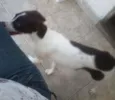 Princesa