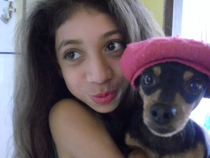 Cachorro ra a Pinscher idade 6 ou mais anos nome Pitter
