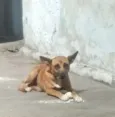 Princesa