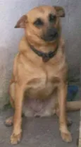 Princesa