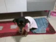 não tem