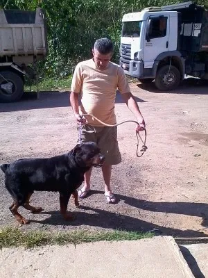 Cachorro ra a hotwailer idade 4 anos nome wilbor