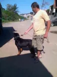 wilbor