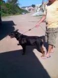 wilbor