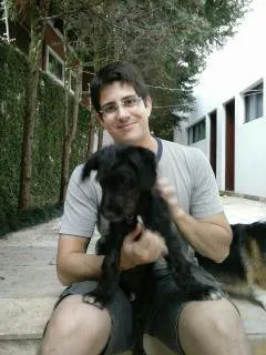 Cachorro ra a SRD idade 2 a 6 meses nome Ines e Felipa