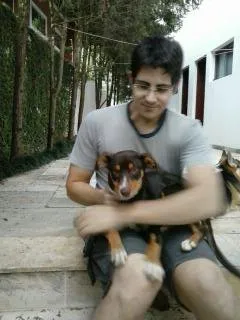 Cachorro ra a SRD idade 2 a 6 meses nome Ines e Felipa