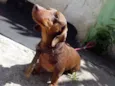 Ralf