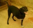 Caco