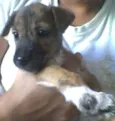 Lili 