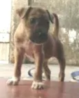 Lili 