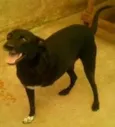 Caco