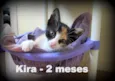 Kira