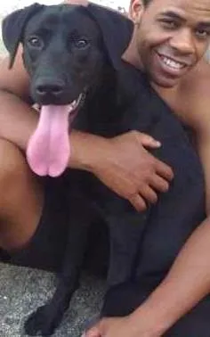 Cachorro ra a Labrador idade 3 anos nome Thor