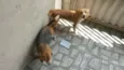 Lorena e Nina