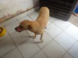 MIUXA