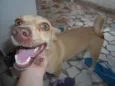 princesa GRATIFICA
