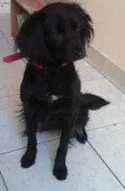Menina