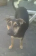 brisa