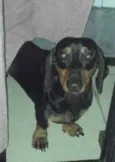 Billy