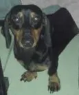 Billy