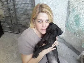 Cachorro ra a poodle idade 2 anos nome Florri