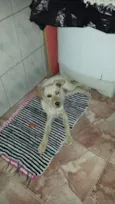 julio