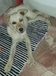 julio