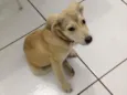 Marley