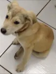 Marley