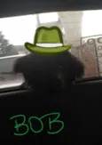 BOB