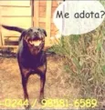 Herói