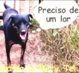 Herói