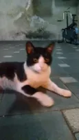 Bruce