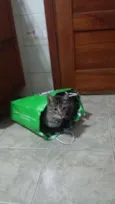 Tom