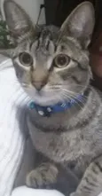 Tom