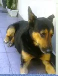 Duke