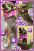 KIKA