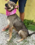 KIKA