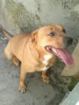 Milly