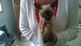 Oliver