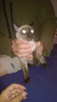 Matilda