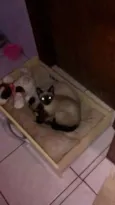 Matilda