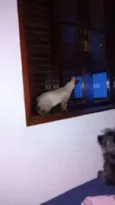 Matilda