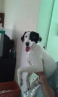 Tob