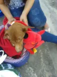 Lindinha