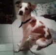 Marley