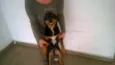 Pipoca