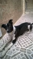 malu