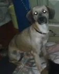Princesa