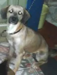 Princesa